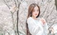 邪恶力量第一季快播